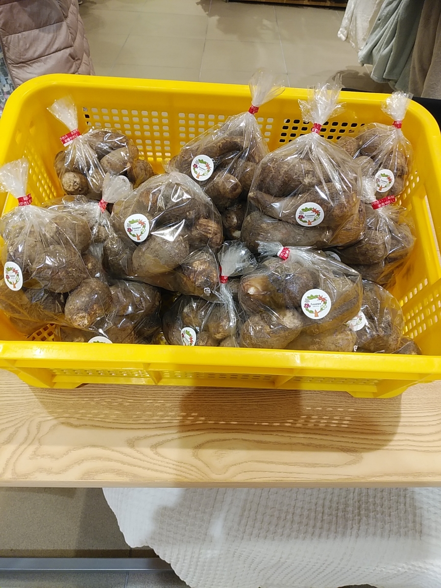 fusanen
