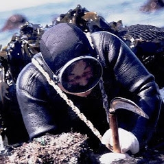 地場魚貝料理 吞海