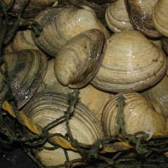 地場魚貝料理 吞海